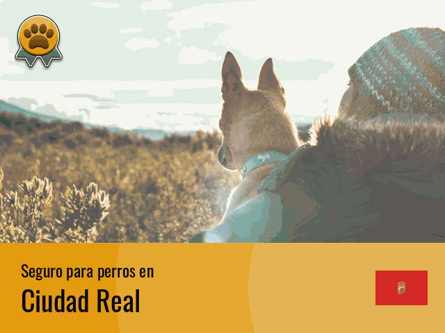 Seguro perros Ciudad Real