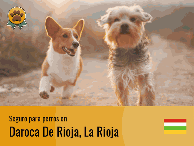 Seguro perros Daroca De Rioja