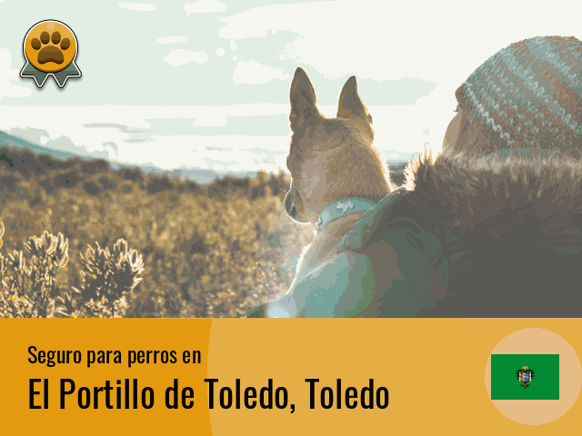 Seguro perros El Portillo de Toledo