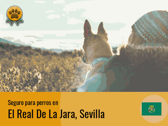 Seguro perros El Real De La Jara