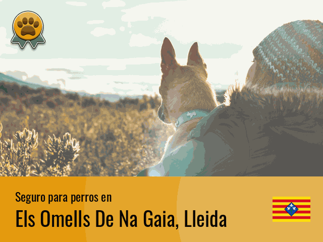 Seguro perros Els Omells De Na Gaia