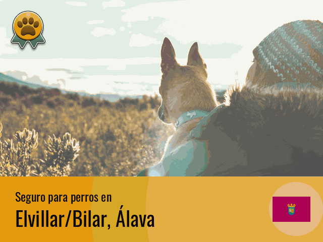 Seguro perros Elvillar/Bilar