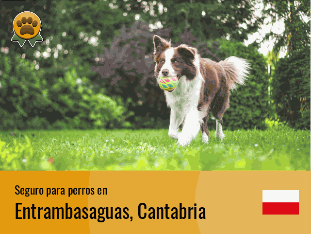 Seguro perros Entrambasaguas