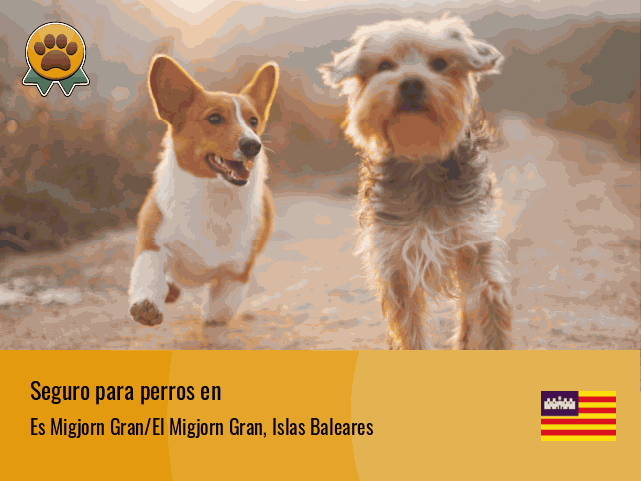 Seguro perros Es Migjorn Gran/El Migjorn Gran