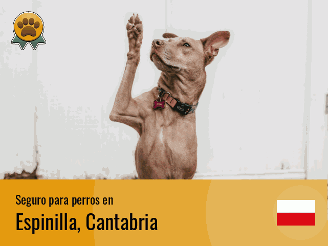 Seguro perros Espinilla