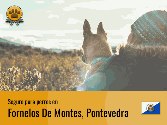 Seguro perros Fornelos De Montes