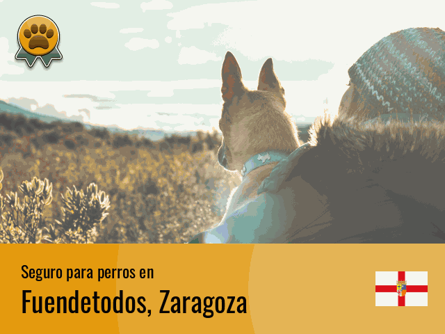 Seguro perros Fuendetodos