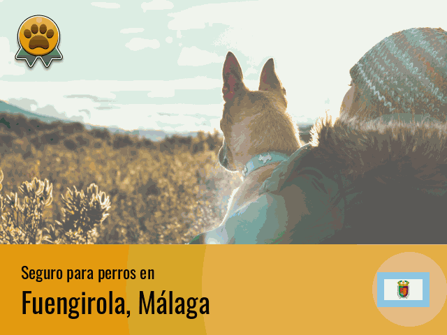 Seguro perros Fuengirola