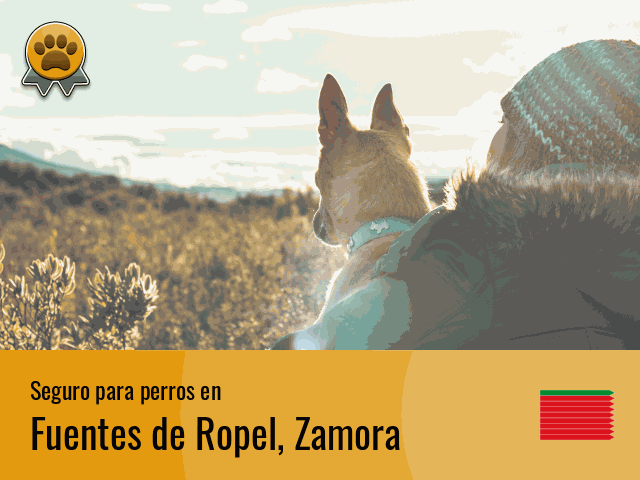 Seguro perros Fuentes de Ropel