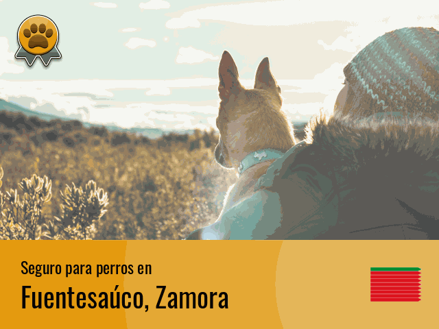 Seguro perros Fuentesaúco