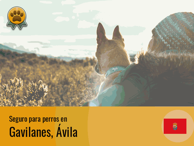 Seguro perros Gavilanes