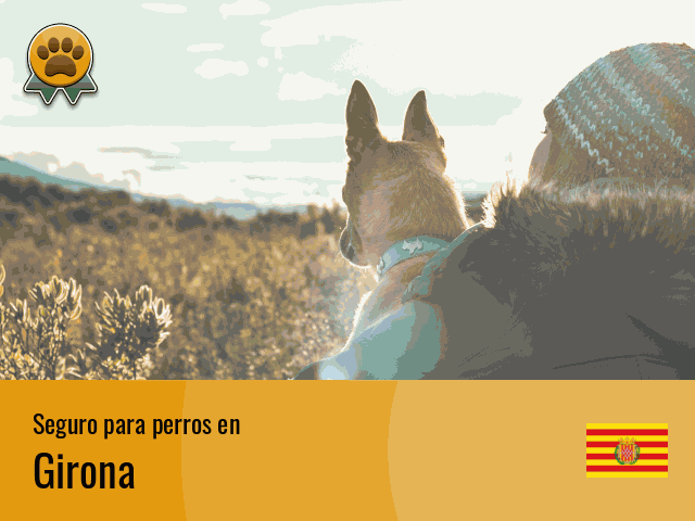 Seguro perros Girona