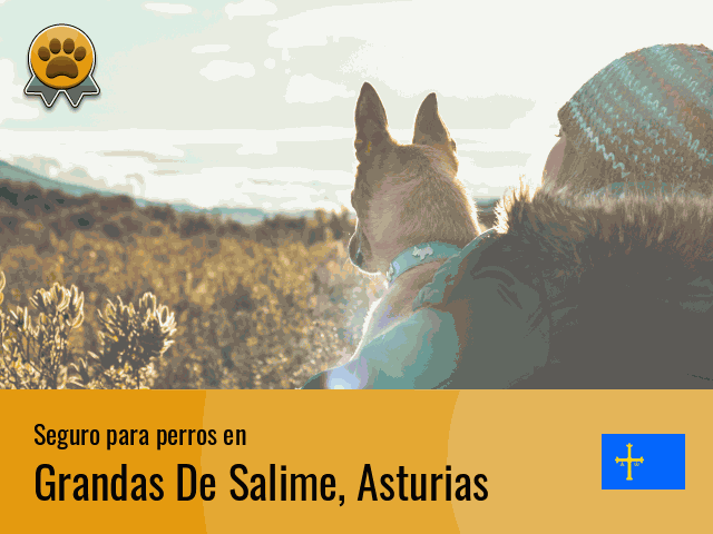 Seguro perros Grandas De Salime