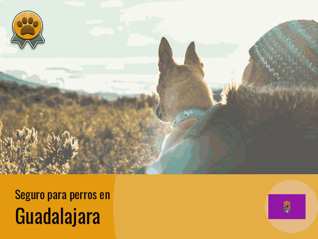 Seguro perros Guadalajara