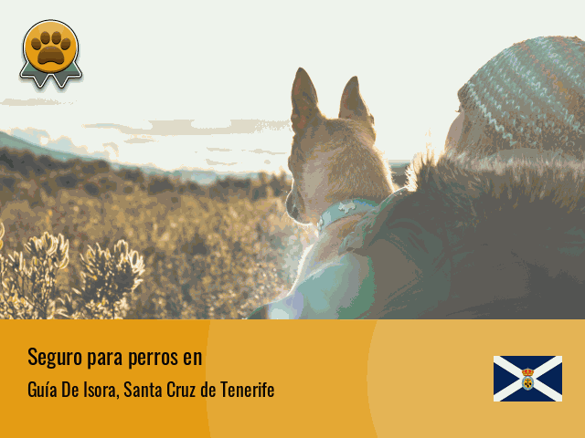 Seguro perros Guía De Isora