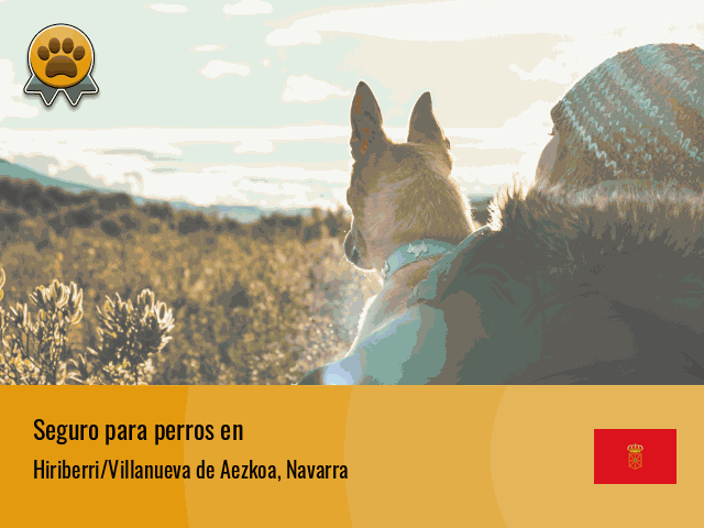 Seguro perros Hiriberri/Villanueva de Aezkoa