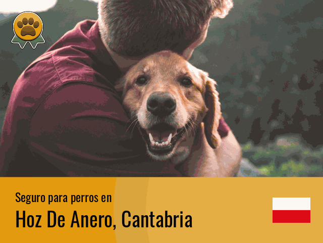 Seguro perros Hoz De Anero