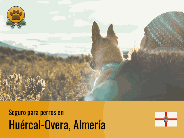 Seguro perros Huércal-Overa