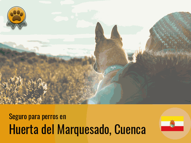 Seguro perros Huerta del Marquesado