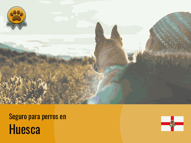 Seguro perros Huesca