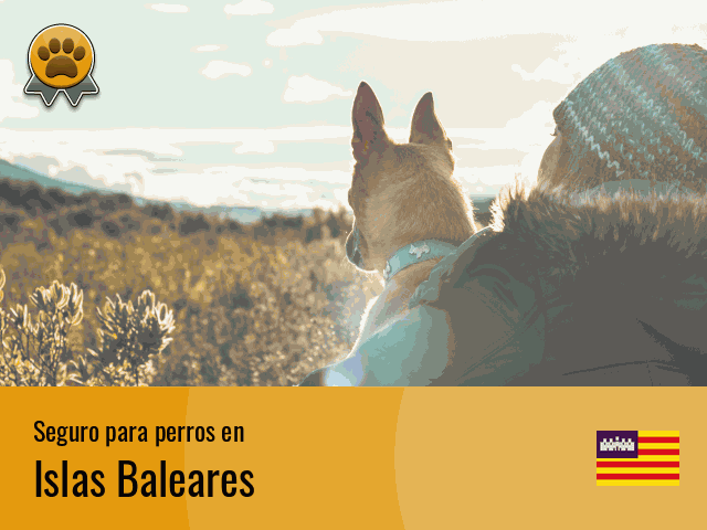 Seguro perros Islas Baleares