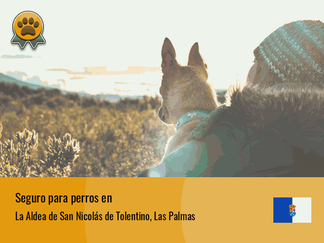 Seguro perros La Aldea de San Nicolás de Tolentino