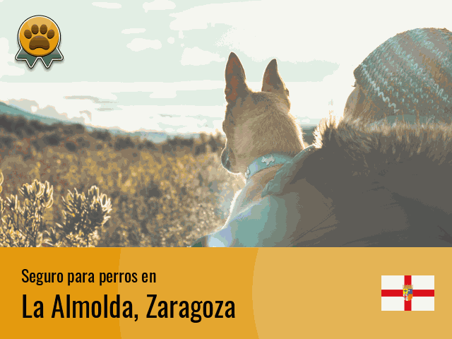 Seguro perros La Almolda
