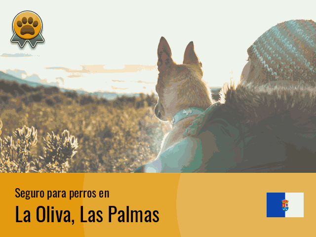 Seguro perros La Oliva