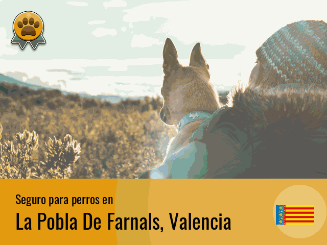 Seguro perros La Pobla De Farnals