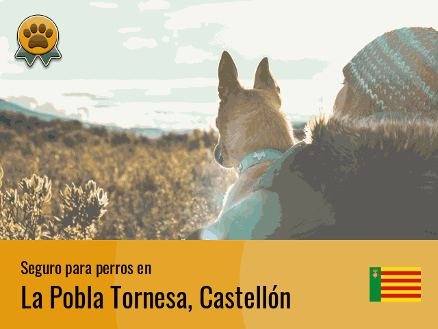 Seguro perros La Pobla Tornesa