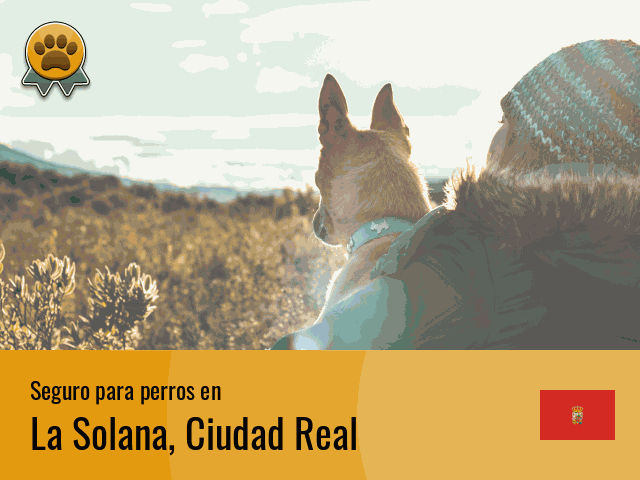 Seguro perros La Solana