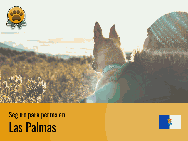 Seguro perros Las Palmas
