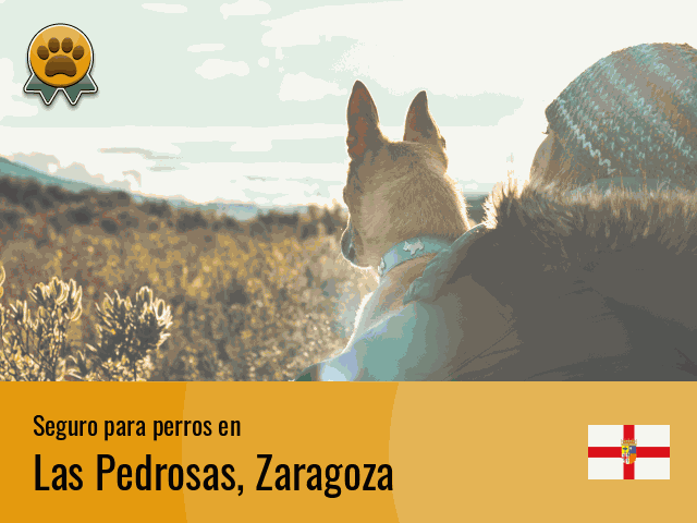 Seguro perros Las Pedrosas