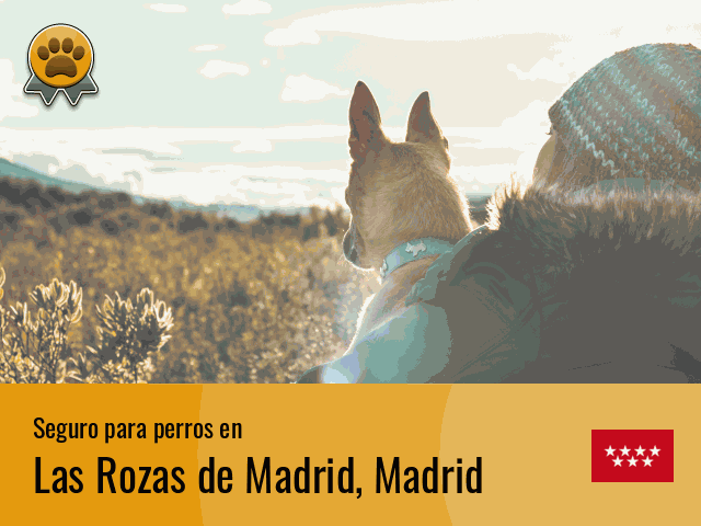Seguro perros Las Rozas de Madrid