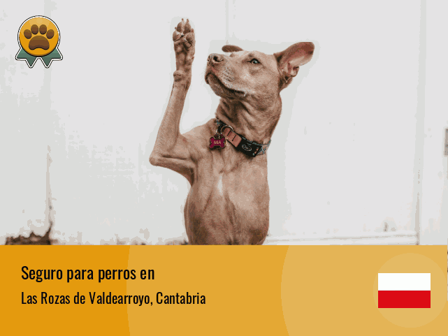 Seguro perros Las Rozas de Valdearroyo