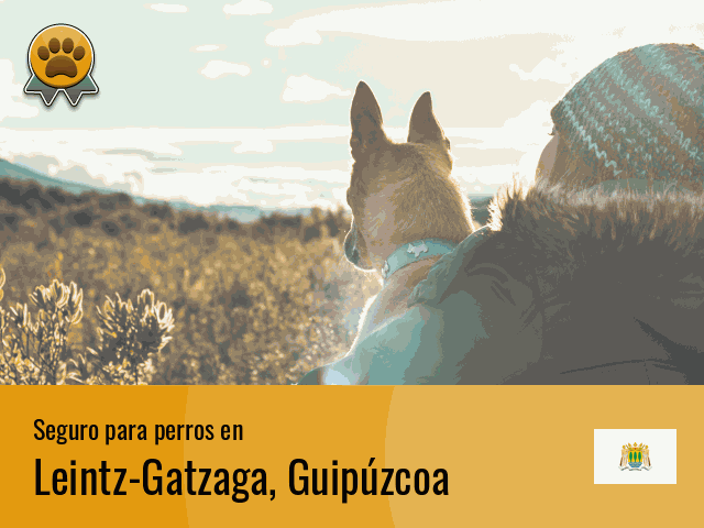 Seguro perros Leintz-Gatzaga