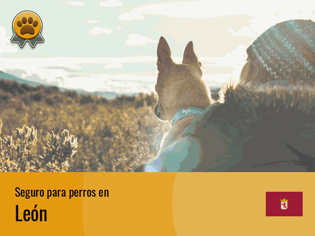 Seguro perros León