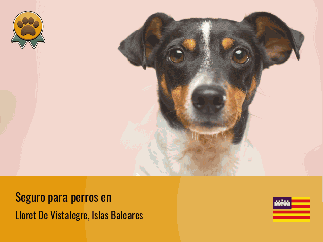 Seguro perros Lloret De Vistalegre