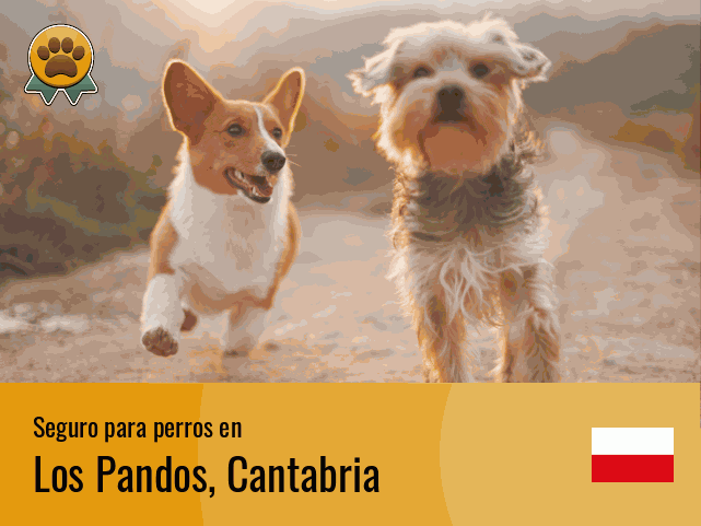 Seguro perros Los Pandos