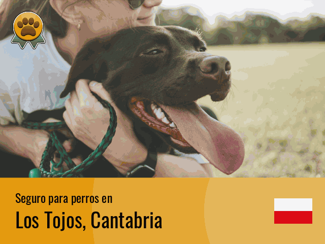 Seguro perros Los Tojos