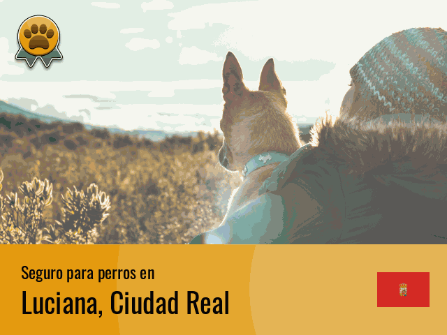 Seguro perros Luciana