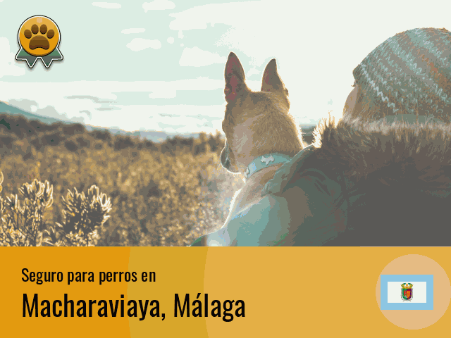 Seguro perros Macharaviaya