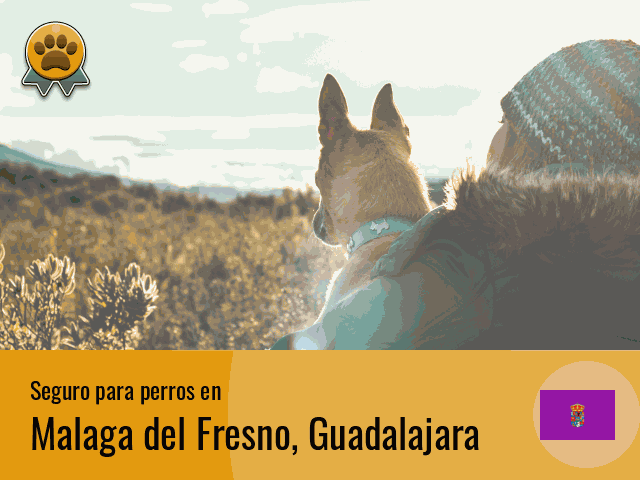 Seguro perros Malaga del Fresno