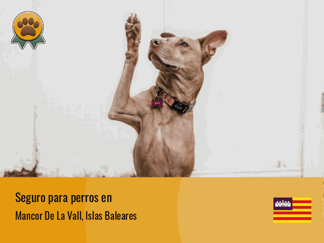 Seguro perros Mancor De La Vall