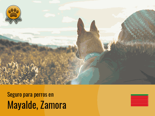 Seguro perros Mayalde
