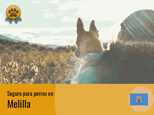 Seguro perros Melilla