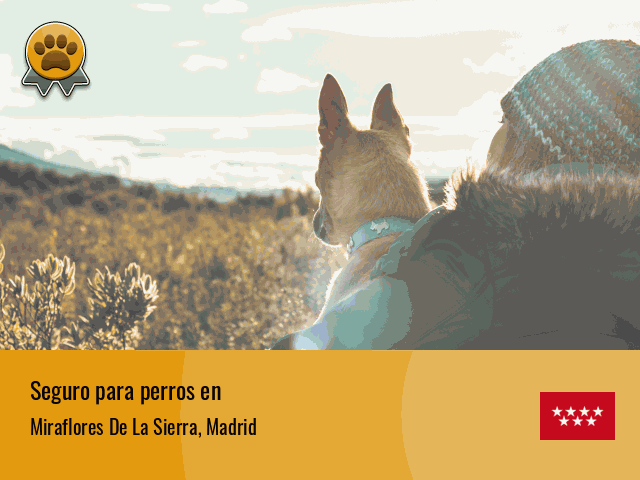 Seguro perros Miraflores De La Sierra