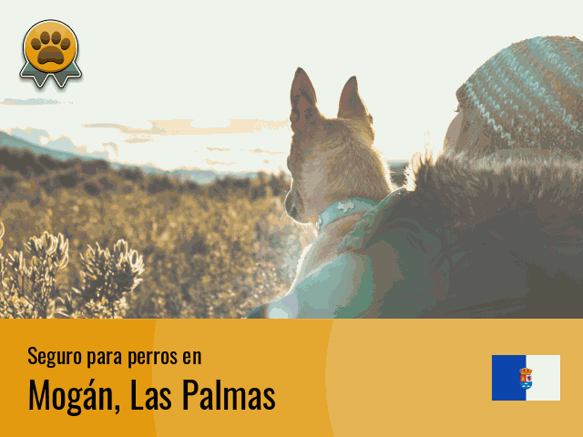 Seguro perros Mogán