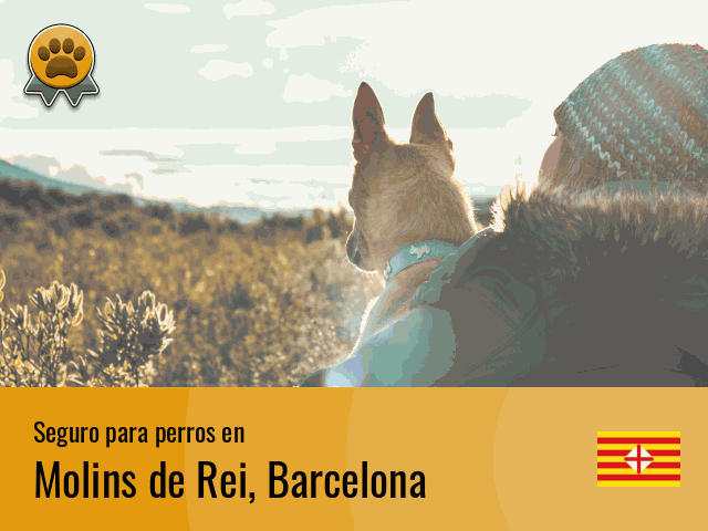 Seguro perros Molins de Rei