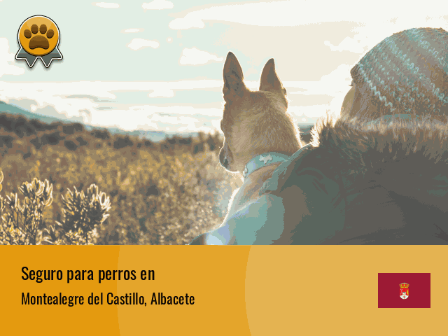 Seguro perros Montealegre del Castillo